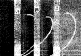 3個相同高度泡沫的量筒